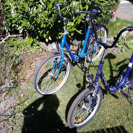 Ferienwohnung Am Mittelburgwall Friedrichstadt Zewnętrze zdjęcie
